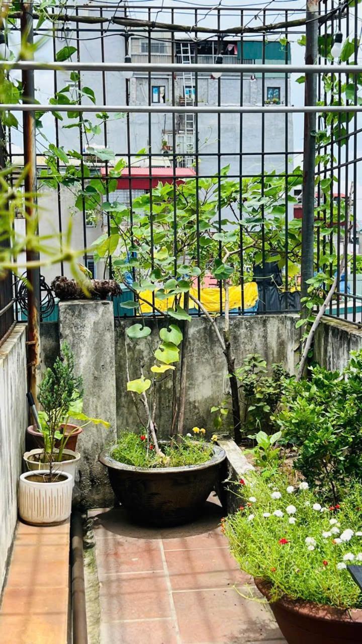 Mau Hong Hà Nội